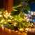 Home ML26WW micro LED fairy lights, warm white, 20 LEDs, 1.9m long, battery powered, on a plant