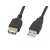 Kabel USB 2.0 Lanberg A do A, 0,7 m, czarny