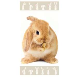 Bunny Brown osuška, plážová osuška 70x140cm