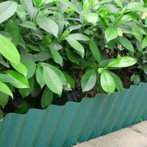 Green plastic garden edging installed around a flower bed - Garden Edging