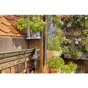 Gardena NatureUp! Vertikales Bewässerungssystem für den Wasserhahn, das System an einer Wand montiert mit Pflanzen, die darin wachsen - Bewässerungsanlagen