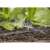 Gardena Micro-Drip-System Sprinklerkopf