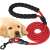 Red dog leash with handle and reflective stripes, shown with a puppy