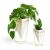 Umbra Trigg set of two white ceramic planters with gold wire frames holding plants.