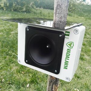 Vadalarm Smart Pro ultrahangos vadriasztó fára szerelve, elölnézet - Vadriasztó