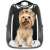 Springos® Pet Carrier Backpack for Cats and Small Dogs, Transparent, Gray