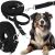 Pa0334 Dog Leash 106424993