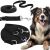 Pa0334 Dog Leash 106424993