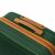 Close-up of Ella Icon Style Green Suitcase Handle and Zipper