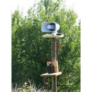 Vadriasztó - 40W - Ultrahangos - Mezőgazdasági 111032094 - Vadászat