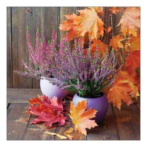 Erica in pot papírszalvéta, 20 db-os, 33x33cm - Háztartási papírtermék