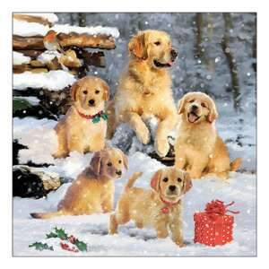 AMB.33318885 Golden retriever puppies papírszalvéta 33x33cm, 20db-os 106791879 - Szalvéta