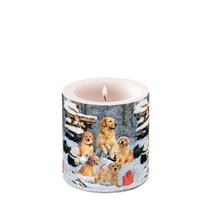 AMB.39218885 Golden retriever puppies ávilágítós gyertya 8x7,5cm 106791932 - Ambiente