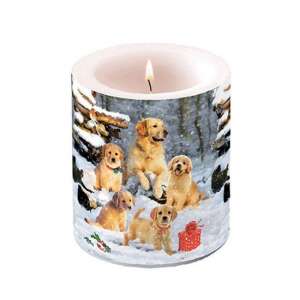 AMB.39318885 Golden retriever puppies átvilágítós gyertya 10x10xcm 106791950 - Ambiente