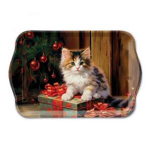 AMB.33718845 Molly műanyag kistálca 13x21cm 106791981 - Tálca