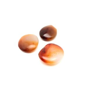 Lencse karneol 2-4cm (MDG) 120425551 - Ásvány