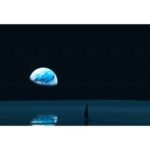 Vászon kép, Egyedül a világban, 80x50cm, tablou1410 - Falikép