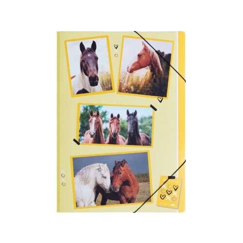 Lovas A4-es PP mappa gumis záródással, Pagna márka