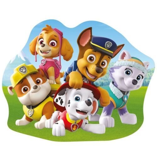 Paw Patrol decorative pillow featuring Skye, Chase, Marshall, Rubble, and Everest