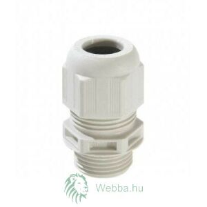 Tömszelence PM21 131714976 - Medence szerelvény