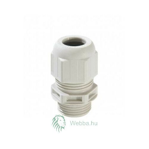 Tömszelence PM21 131714976