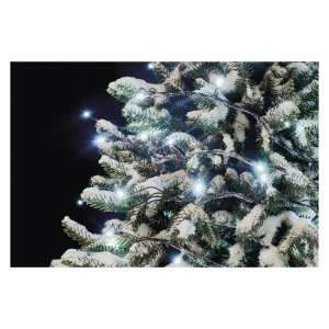 Emos D1AC01 Cool White LED String Lights Decorating a Snowy Christmas Tree - Christmas