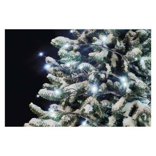 Emos D1AC01 Cool White LED String Lights Decorating a Snowy Christmas Tree