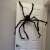 Black hairy spider Halloween decoration on a door