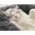 Soft Plush Pet Bed 80cm 107201530