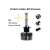 H1 LED Autolampe mit 360 Grad Sichtbarkeit, 6000K, 60W, 6200 Lumen, Canbus, 12V-24V