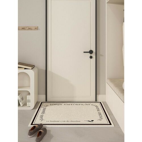 Entrance mat in hallway setting, non-slip doormat 60x90 cm