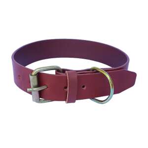 Brown leather dog collar with metal buckle and D-ring - Pet Collar