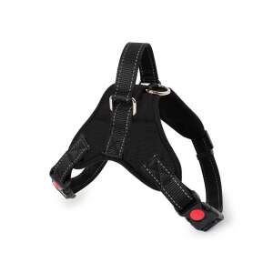 Fekete kutya hám piros csattal és ezüst D-gyűrűvel - Kisállat hám