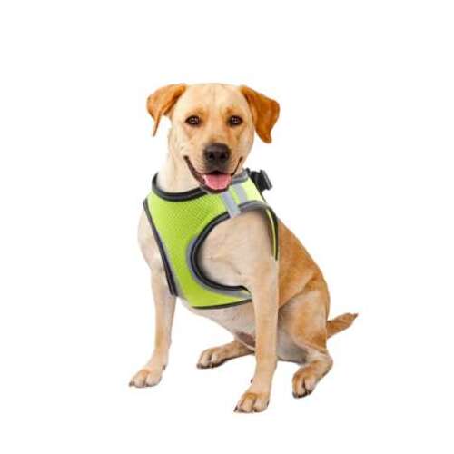 Pawise Biztonsági kutyahám XL, zöld hálós hám kutyáknak, fényvisszaverő biztonsági hám kutyáknak
