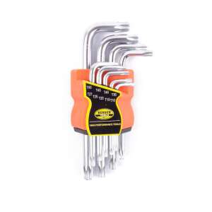 Set Torx 9 buc. 107613169 - Instrument