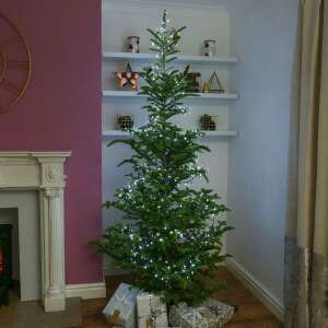 Christmas tree decorated with 200 LED cool white fairy lights, 20 meters long, Flippy brand - Christmas