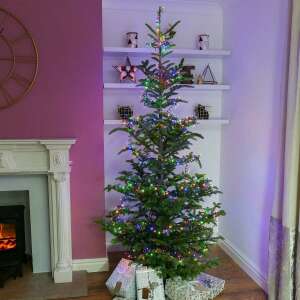 Flippy Christmas lights, 250 LED, multi-color, flashing, 25 meters long, decorating a Christmas tree - Christmas