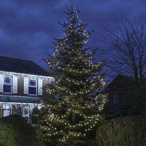 Flippy 250 LED Christmas lights decorating a Christmas tree - Christmas