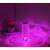 Flippy RGB LED table lamp in purple light, crystal design, touch control, 3 brightness levels, remote control