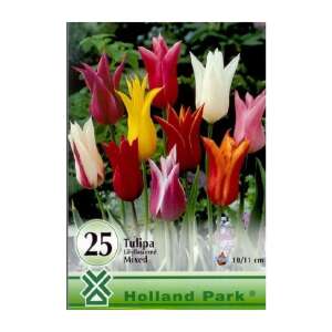 25 Holland Park Lily-flowered Tulip Bulbs, Mixed Colors - Landscaping
