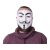 Guy Fawkes Anonymus Vendetta Maske - 18,5x20cm 107767887