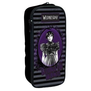 Wednesday Addams Federmäppchen mit Charakterbild, 2 Fächer - Federmappen