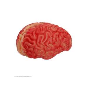 Creier Sângeros Decoratiune Halloween, Prop Realist de Creier Fals pentru Costume Inspăimântătoare și Decor de Petrecere - Decorațiuni de Halloween