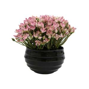 Pink artificial flower arrangement in a black plastic pot, 16cm - Artificial Plant & Flower
