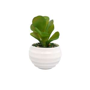 Artificial succulent plant in a white pot, 10cm - Artificial Plant & Flower