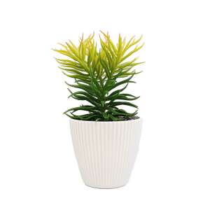 Artificial succulent plant in white plastic pot, 19cm - Artificial Plant & Flower