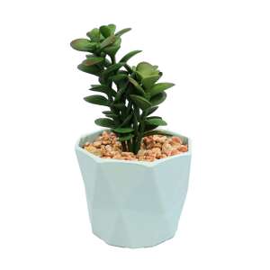 Artificial succulent plant in a blue plastic pot, 16cm - Artificial Plant & Flower