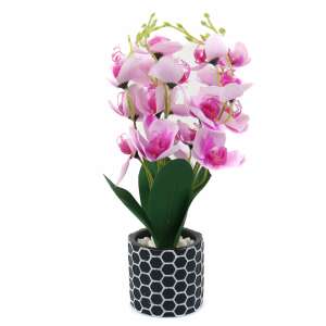 Artificial orchid plant in a black and white pot - Artificial Plant & Flower