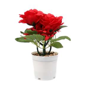 Artificial red rose flower arrangement in a white pot, 24cm - Artificial Plant & Flower