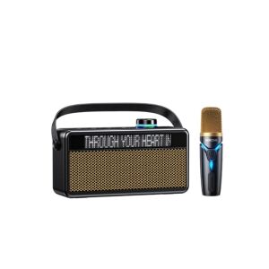 VEKOME BT-K25 Bluetooth Karaoke Speaker with Wireless Microphone - Nonbrand Bluetooth Speaker